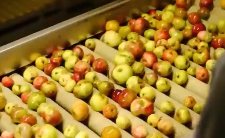 苹果筛选