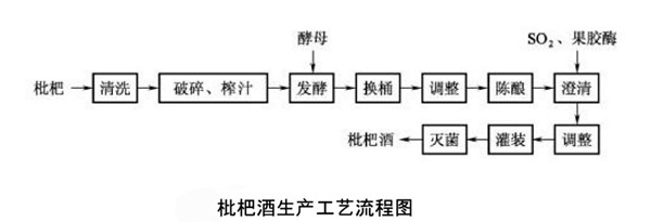 枇杷酒生产工艺流程图